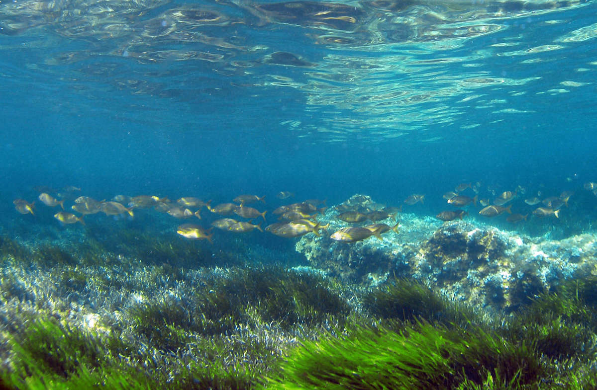 Snorkelling Routes