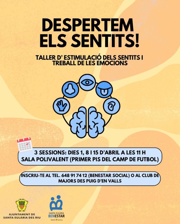 Taller: despertamos los sentidos