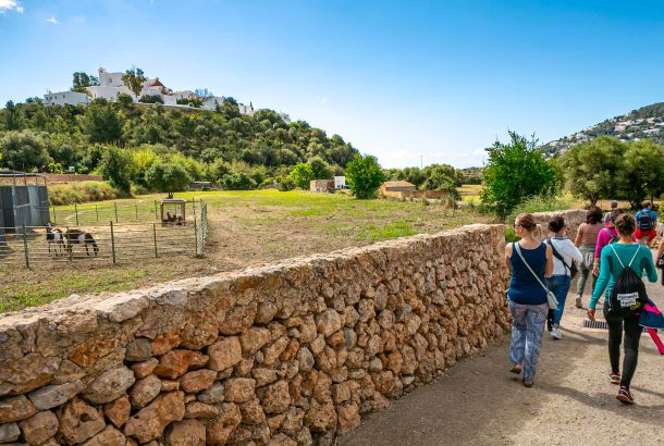 People walking along a footpath next to farmland